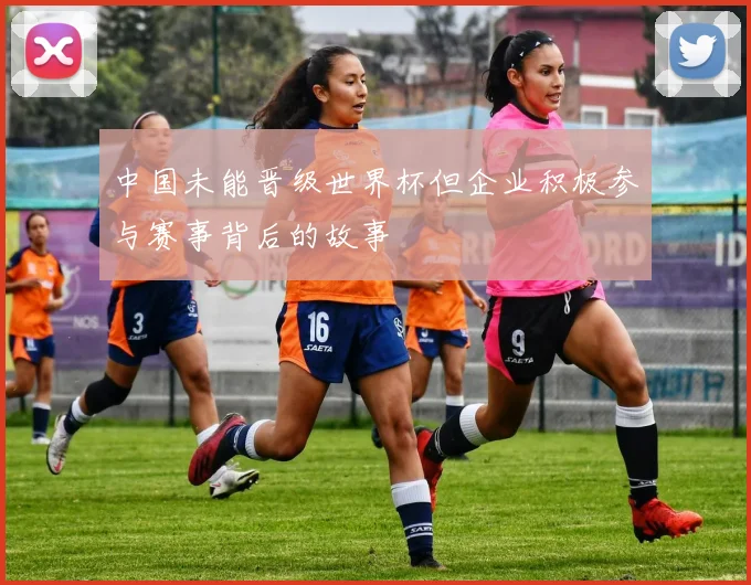 中国未能晋级世界杯但企业积极参与赛事背后的故事